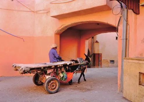 Petit taxi