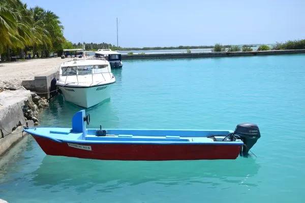 Resort transfers