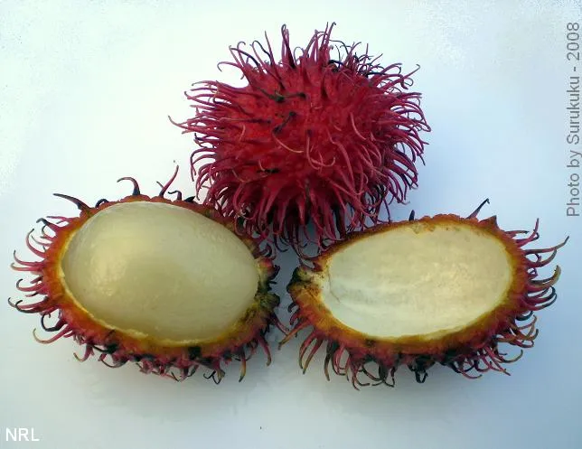 Exotic fruit