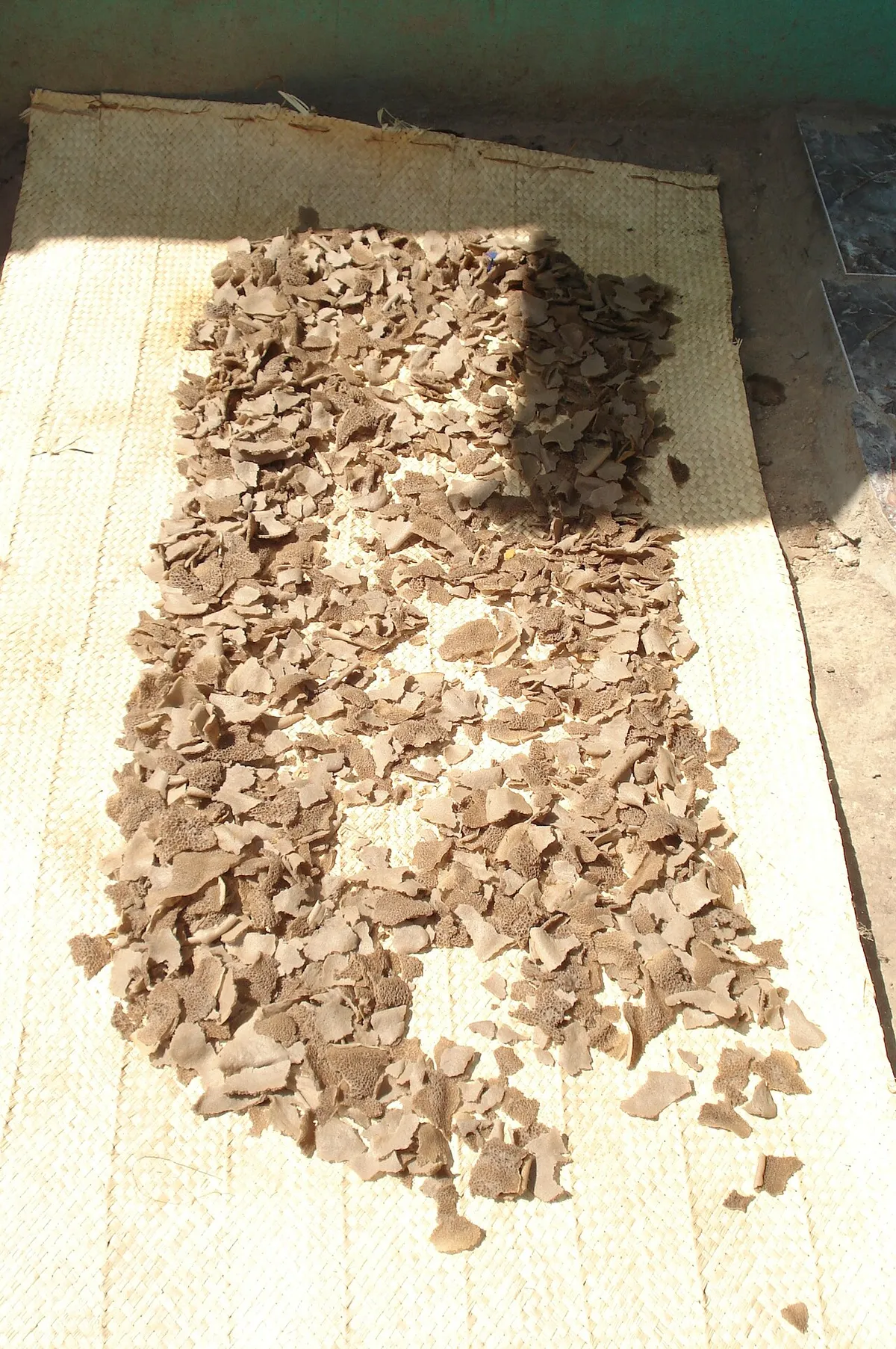 Injera with wat