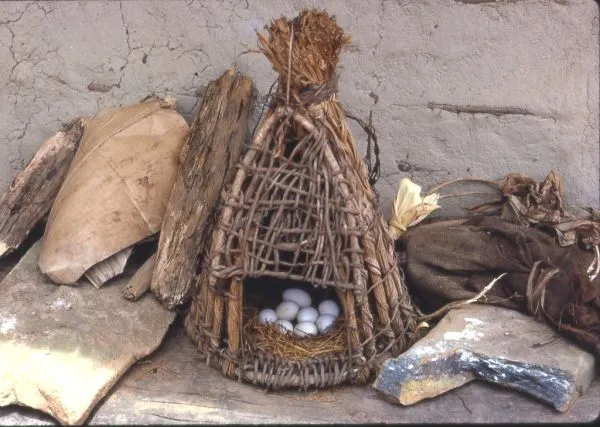 African chicken
