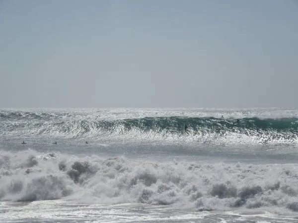 Surfing