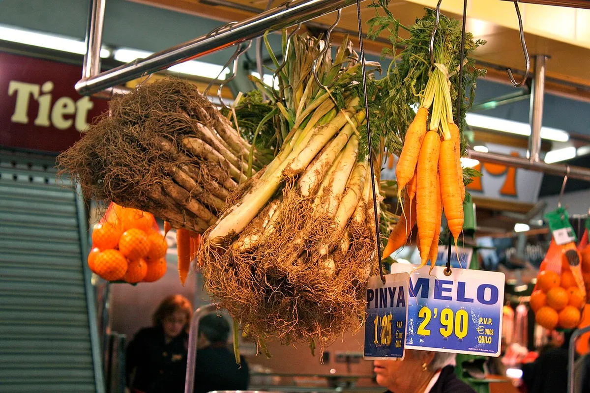 Calçots