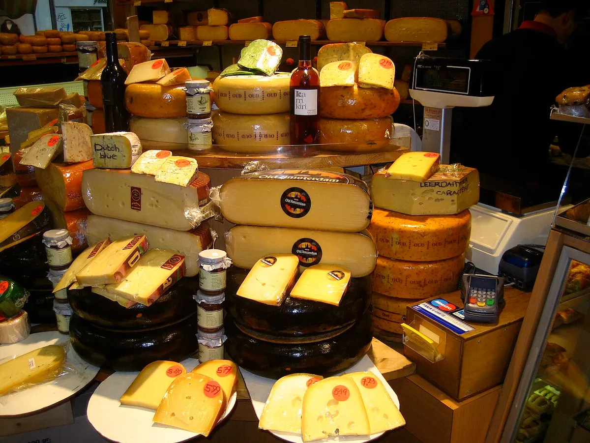 Dutch cheese