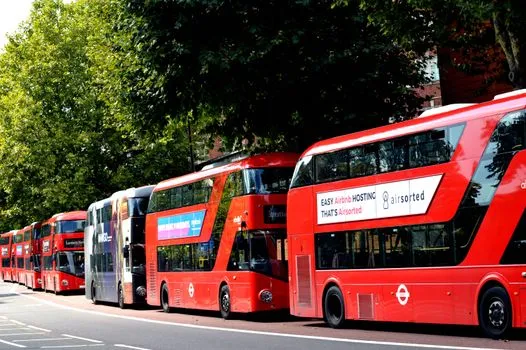 Buses