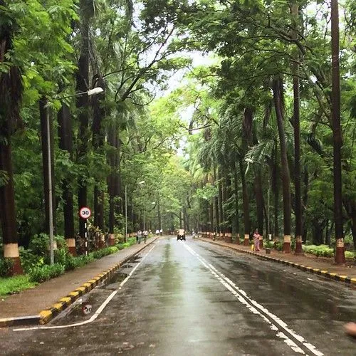 Monsoon