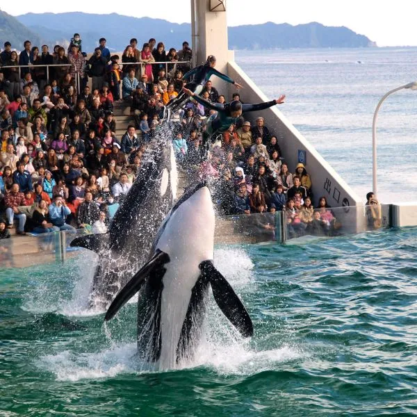 Kamogawa Sea World