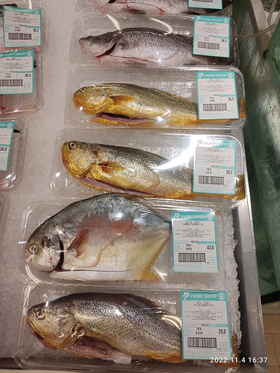 Barramundi and seafood