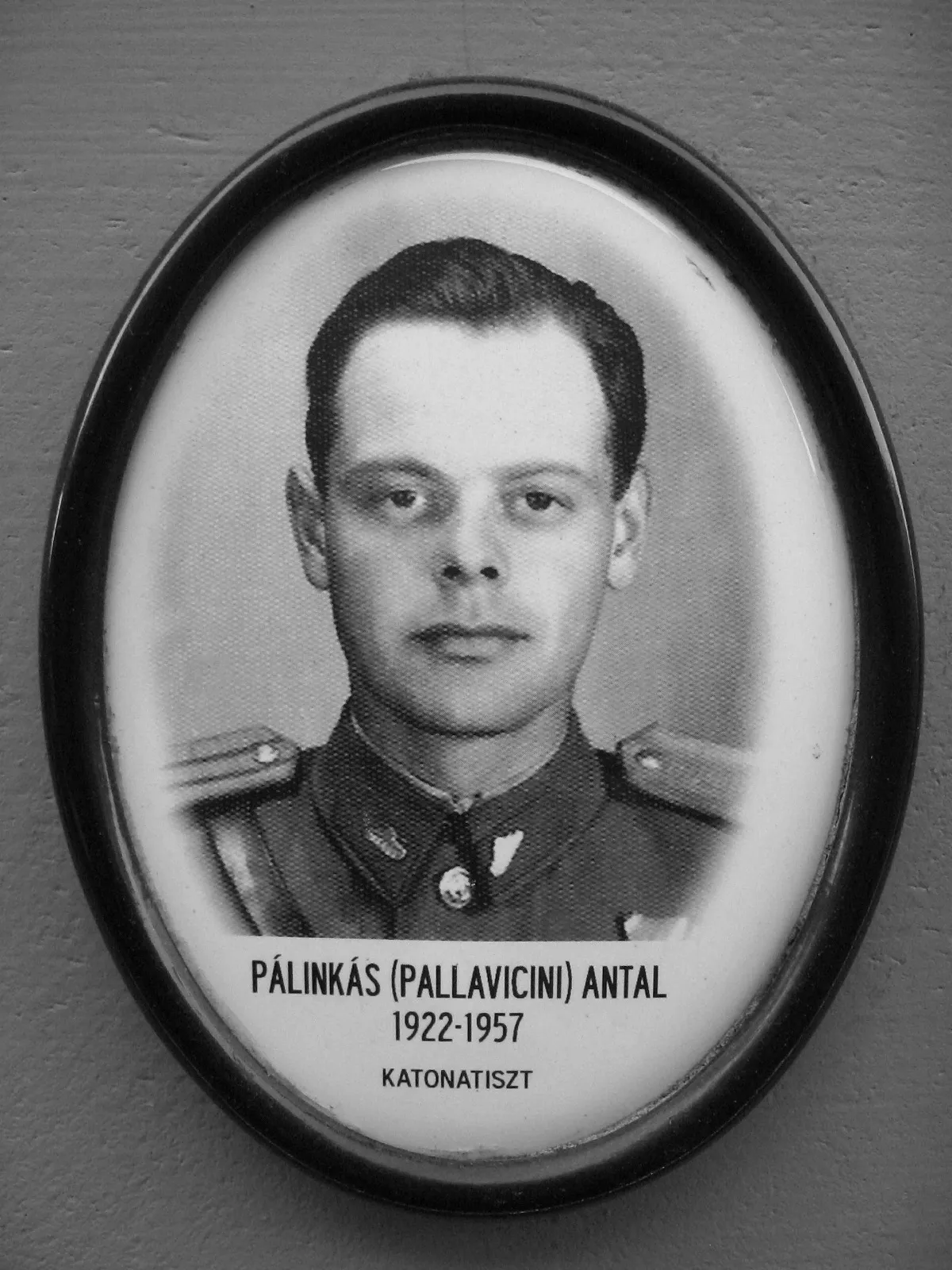 Pálinka