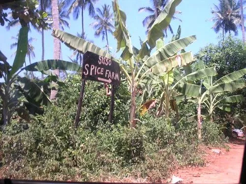 Spice farms