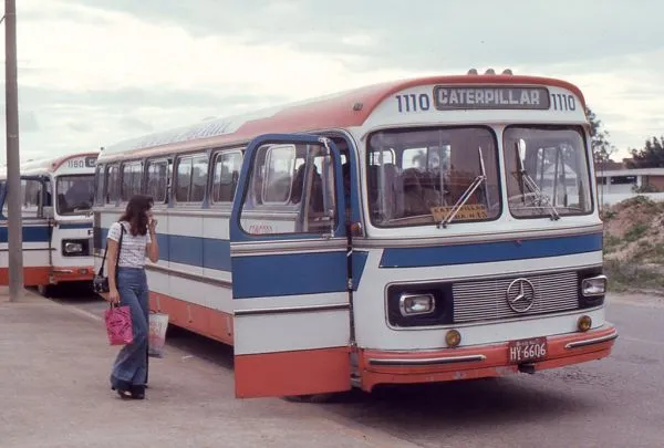 Buses