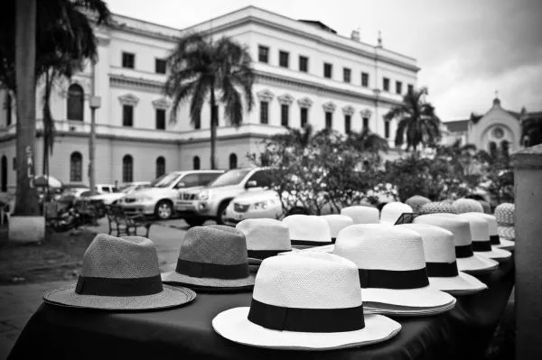 Panama hats