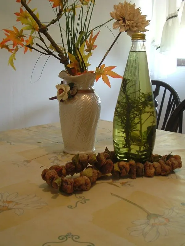 Rakia