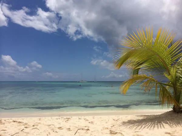Saona Island