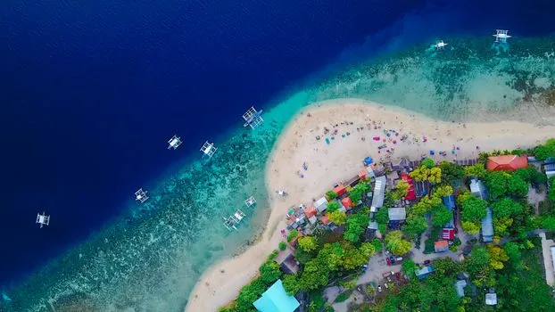 Oslob and Moalboal