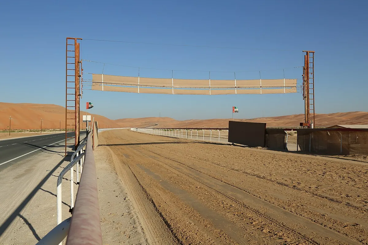 Camel racing