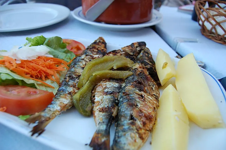 Grilled sardines