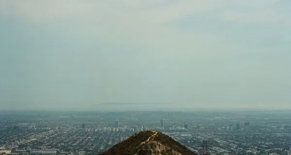 Runyon Canyon and the hikes