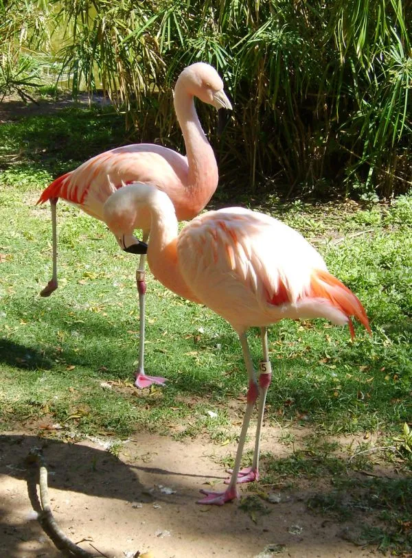 Houston Zoo and Hermann Park