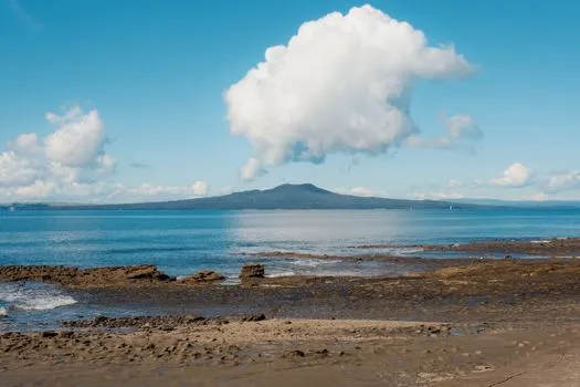 Volcanic field