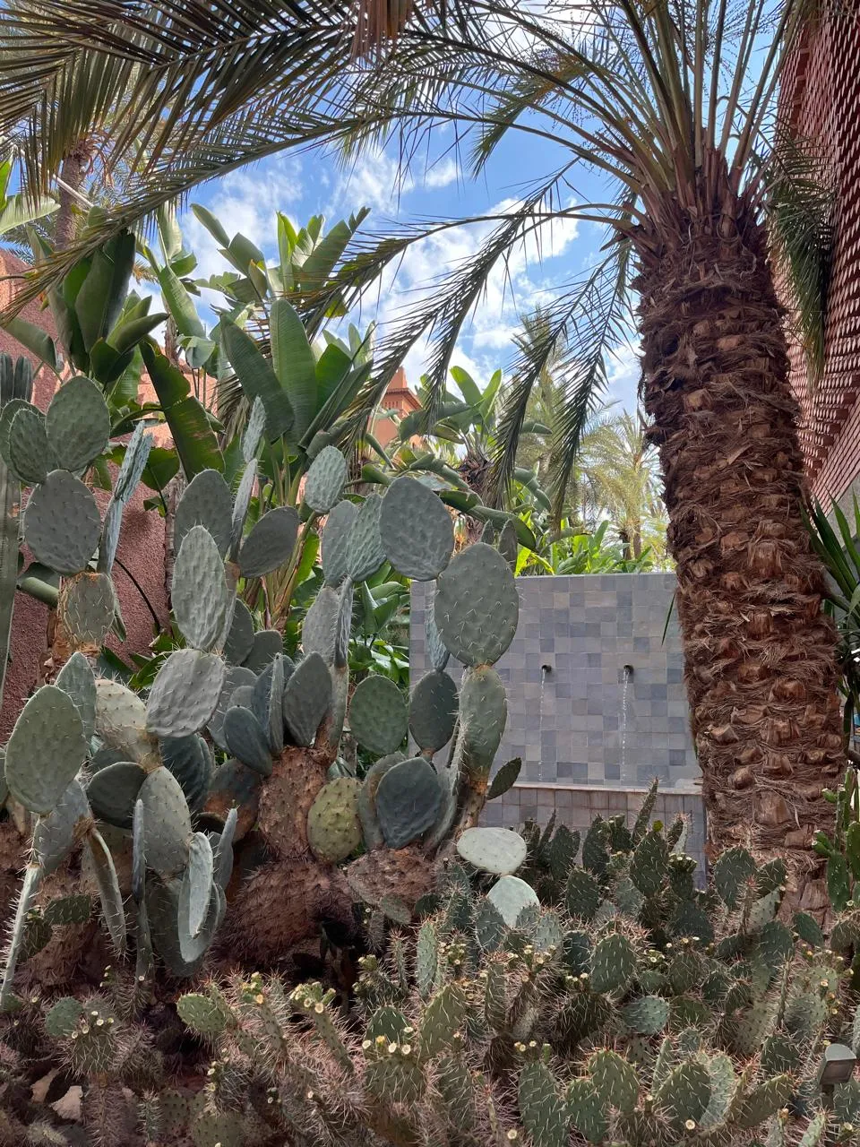 Majorelle Garden and YSL Museum