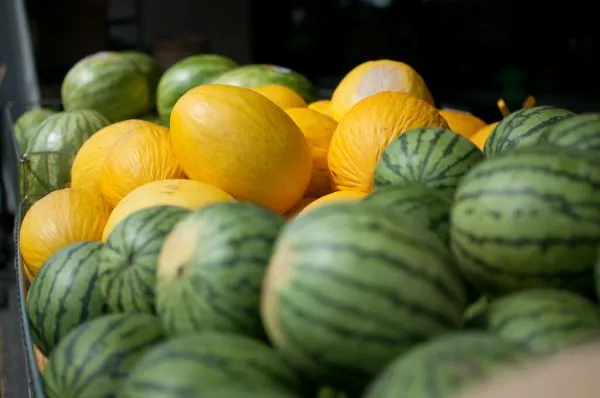 Jean-Talon Market