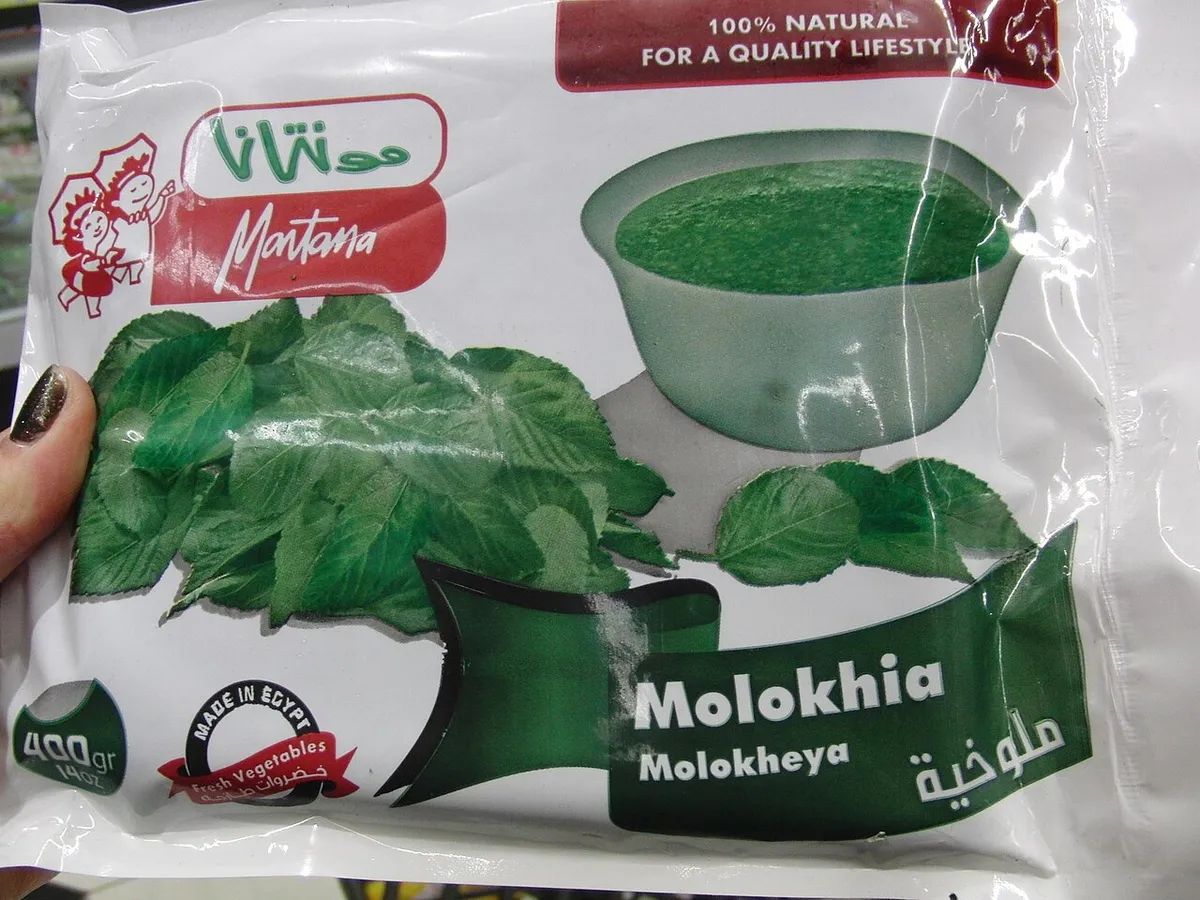 Molokhia