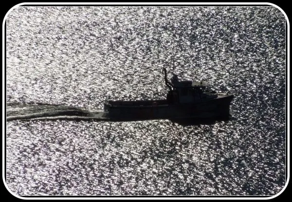 Cruise boat