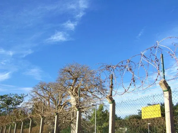 Teranga