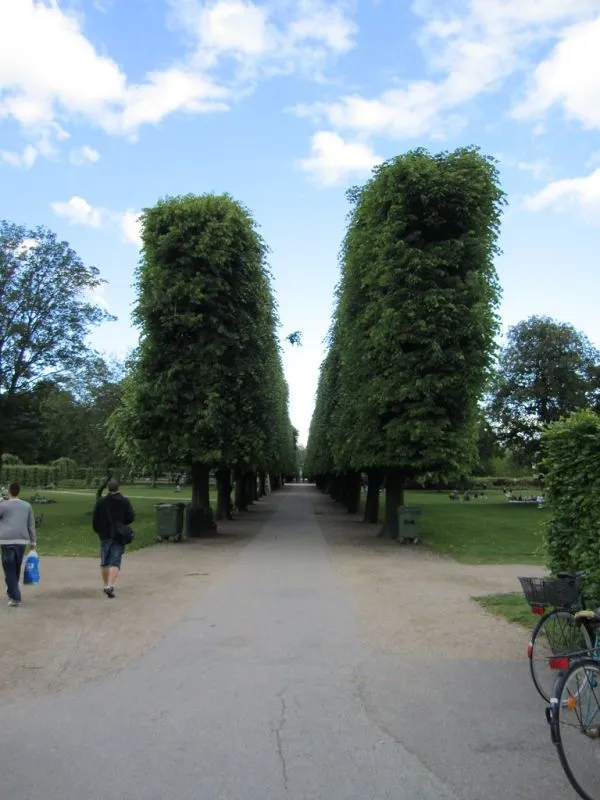 Walking