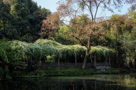 Mount Qingcheng