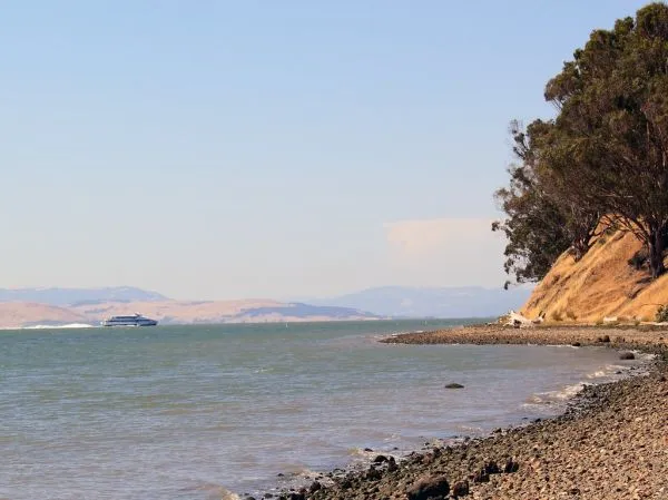 Ferries across the bay