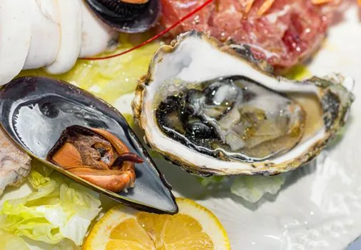 Oysters