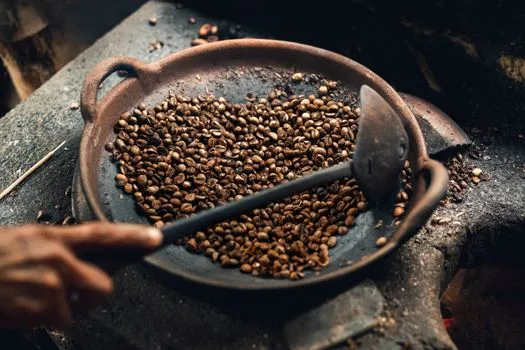 Kopi luwak, and why to skip it