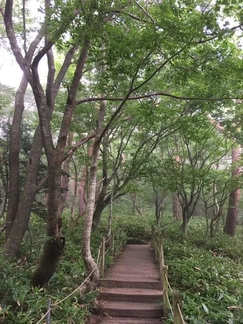 Hallasan, Jeju