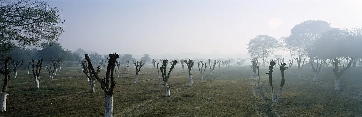 Mehtab Bagh