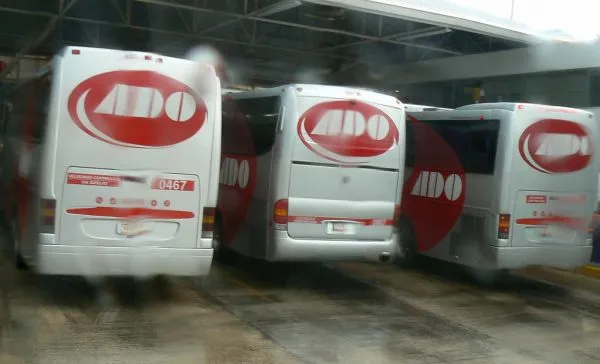 ADO buses