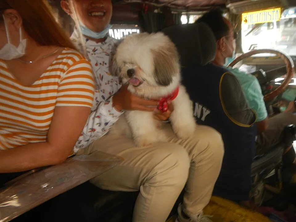 Jeepney riding