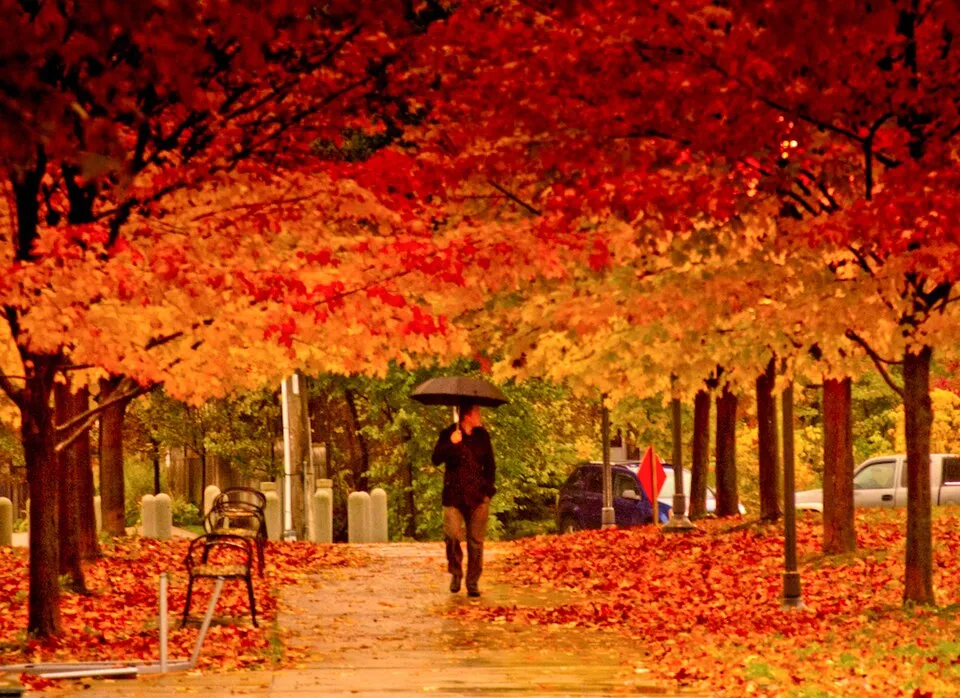 PATH walking