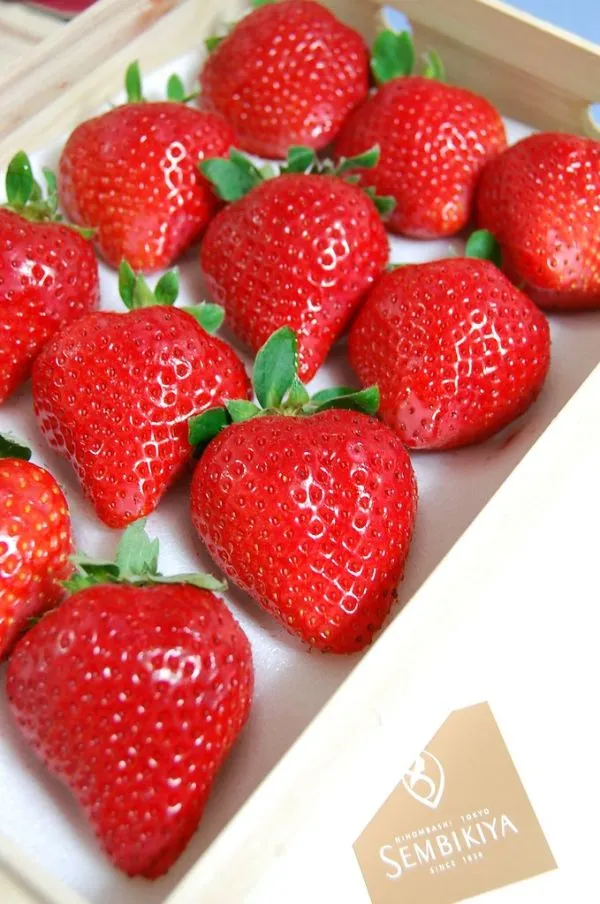 Amaou strawberries
