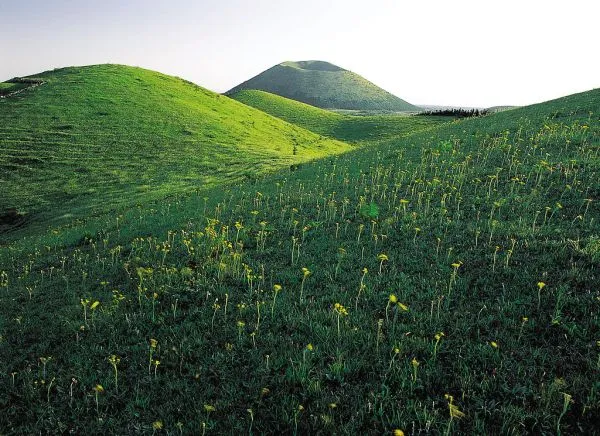 Jeju dialect