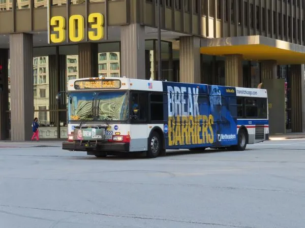Buses