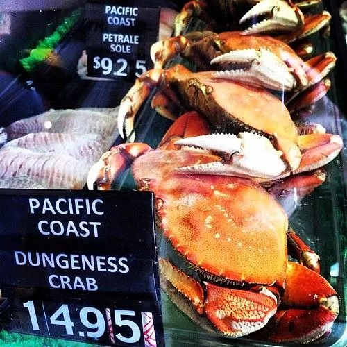 Dungeness crab