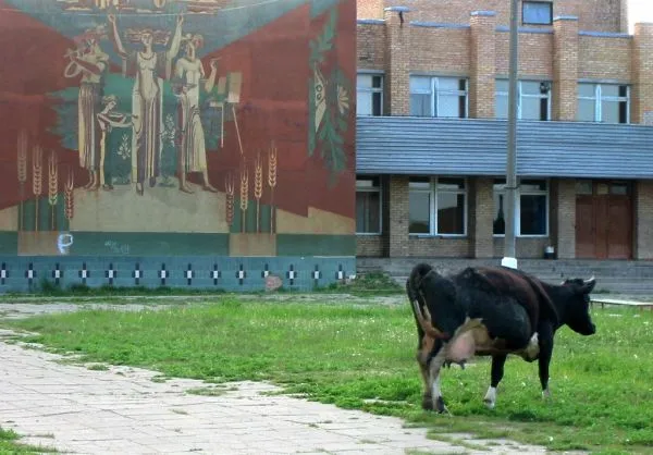 Dacha culture