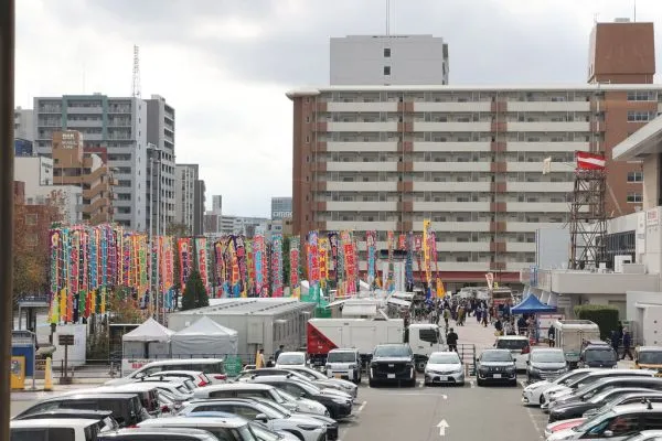 Sumo in November