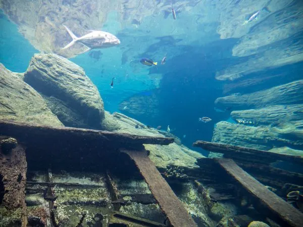 uShaka Marine World
