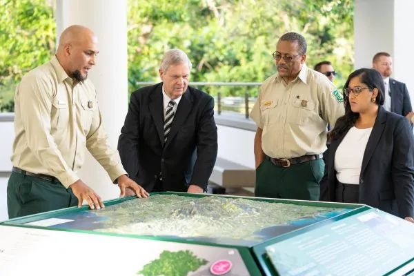 El Yunque National Forest