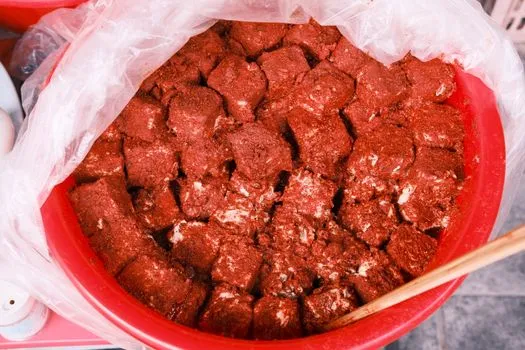 Stinky tofu