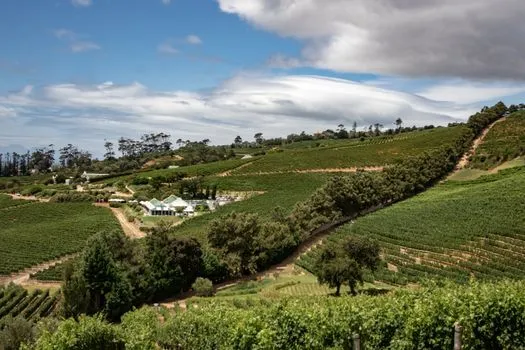 Winelands