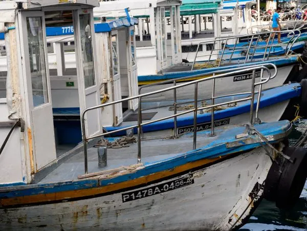 MTCC public ferries